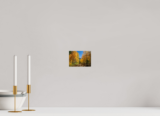 14 x 10 cm, Photo Print On Fuji Crystal DP II Autumn in the Sierras