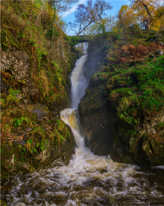 Main image Aira Force Nov 2025