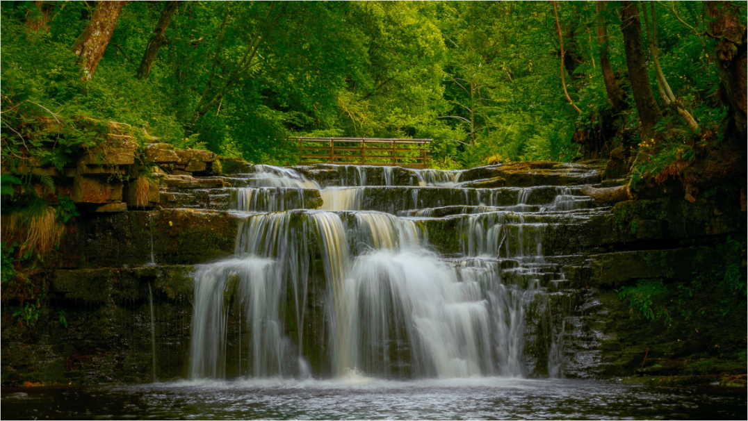 Main image Lower Ashgill Force