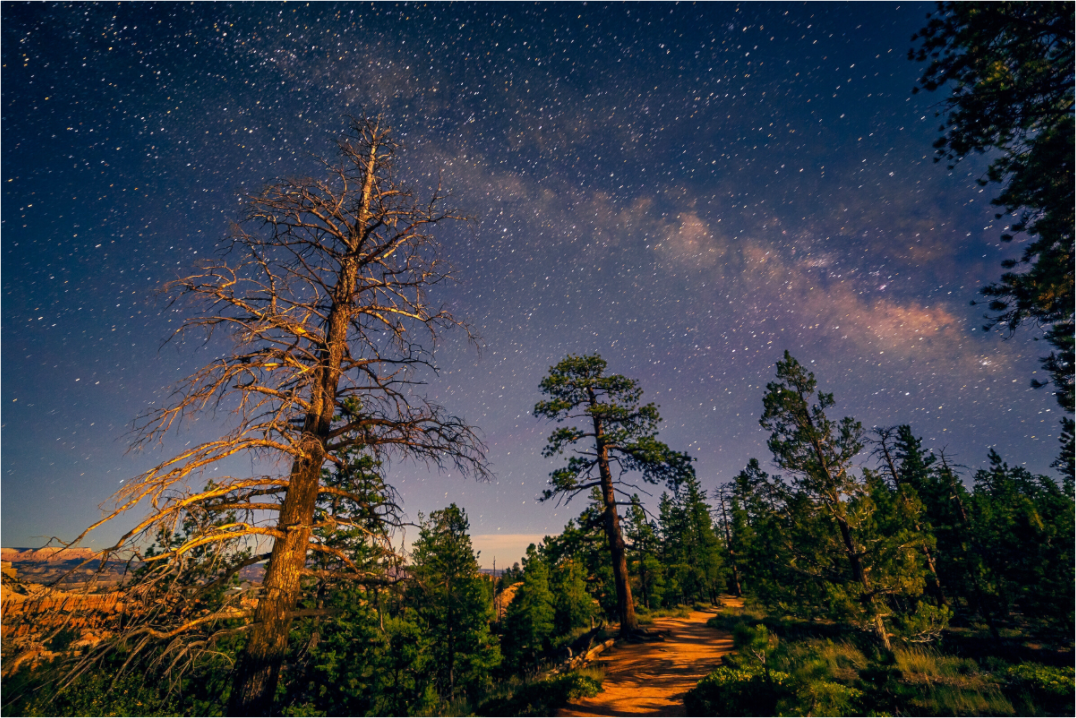 Main image Bryce Canyon at Night