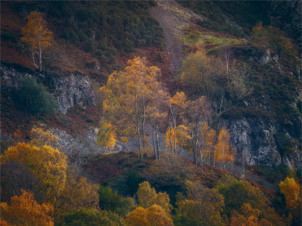 Main image Last of the Colour